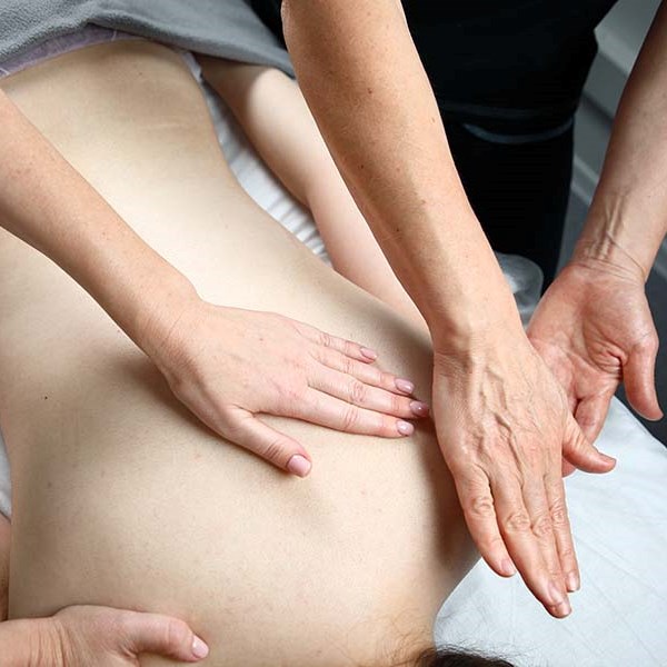 Медицинский массаж сертификационный курс 288 ак. ч. (профпереподготовка)